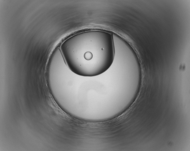 X0000114191280200910231312