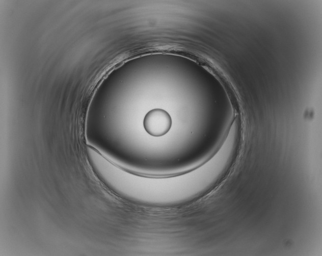 X0000114191281200910231312