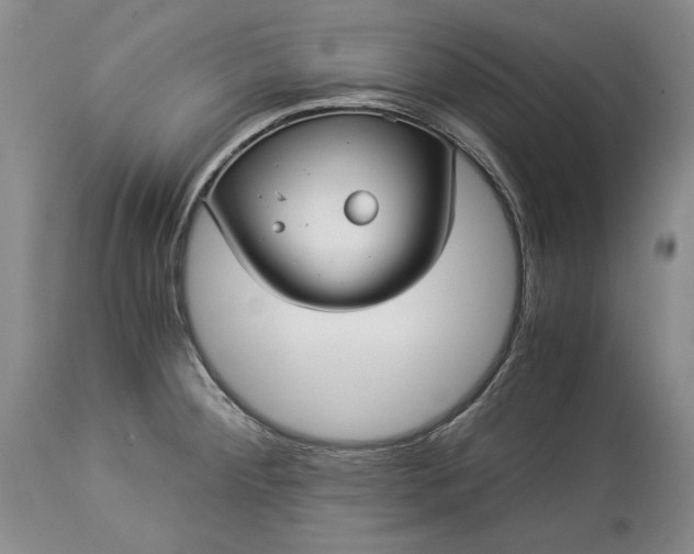 X0000114191284200910231312