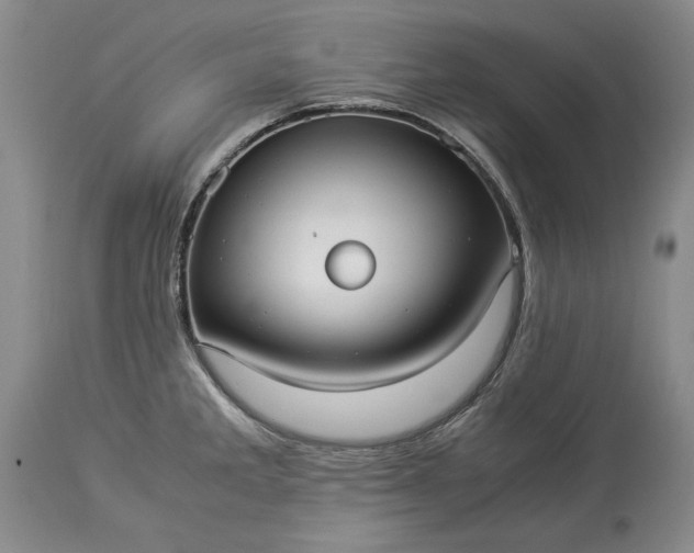 X0000114191285200910231312
