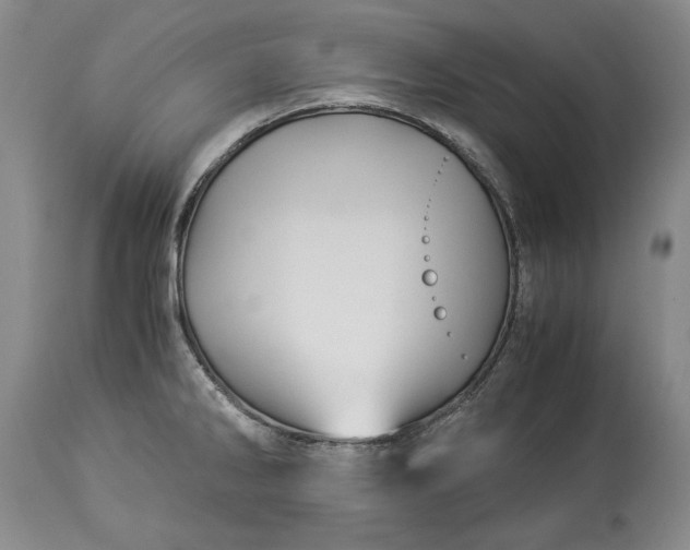 X0000114191286200910231312