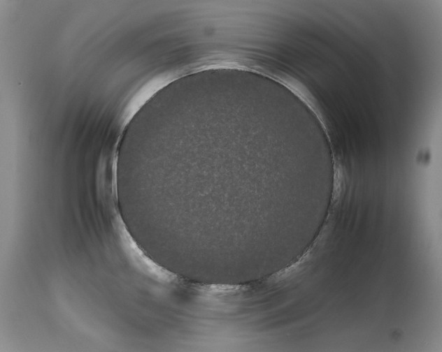X0000114191290200910231312