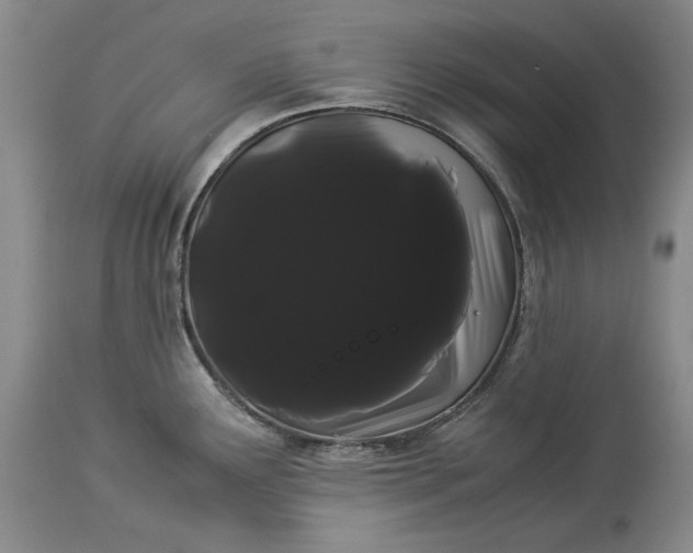 X0000114191291200910231312