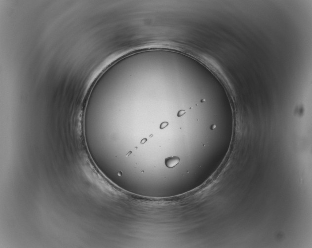 X0000114191292200910231312