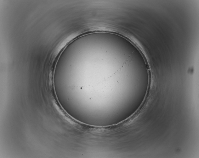 X0000114191293200910231312