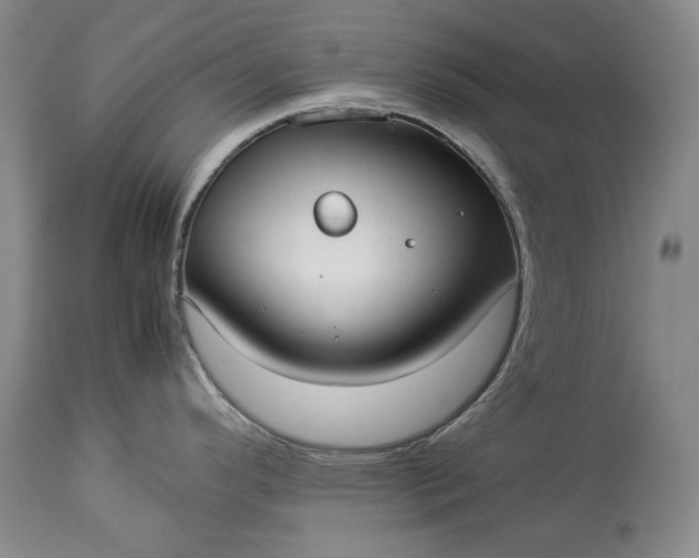 X0000114191296200910231312