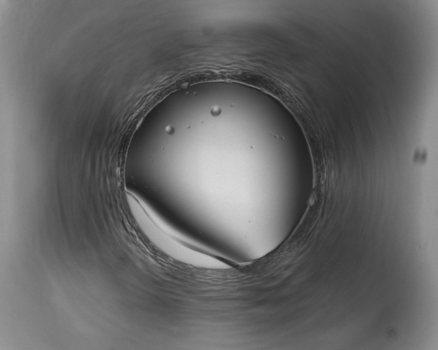 X0000114191298200910231311