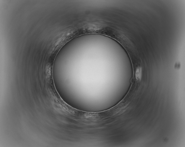X0000114191299200910231311