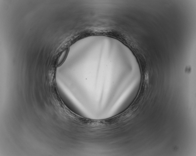 X0000114191300200910231311