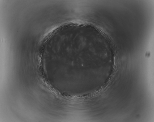 X0000114191302200910231311