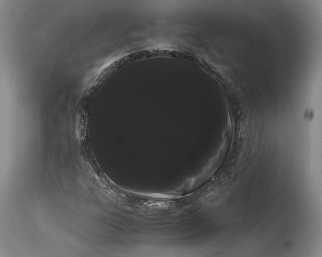X0000114191303200910231311