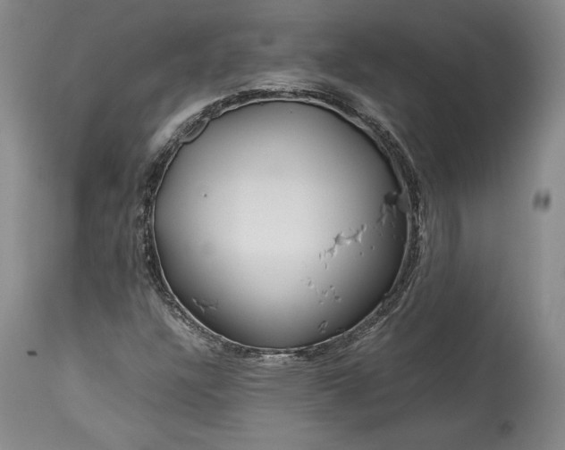 X0000114191304200910231311