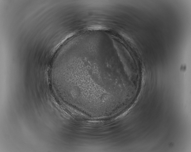 X0000114191305200910231311