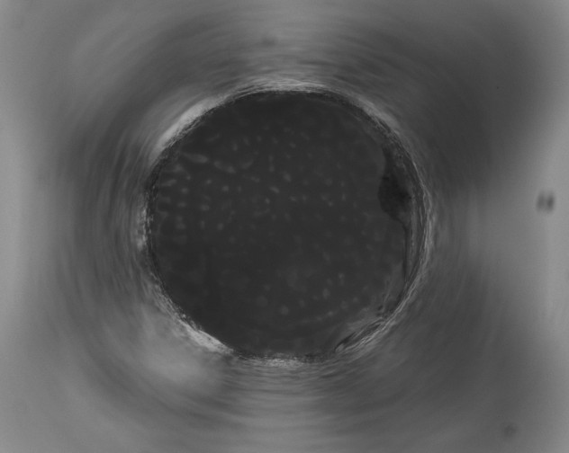 X0000114191306200910231311