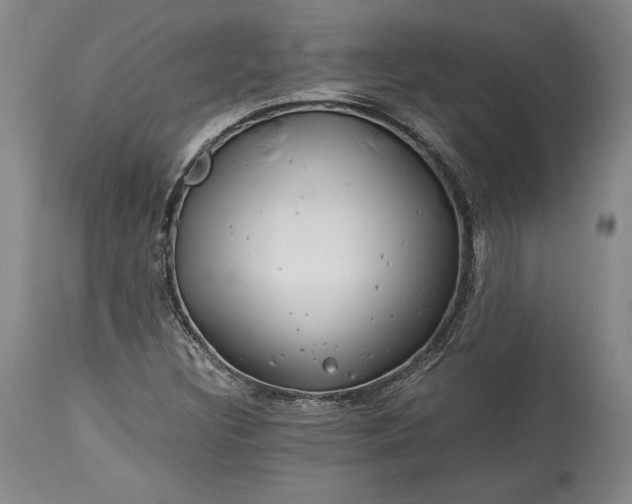 X0000114191308200910231312