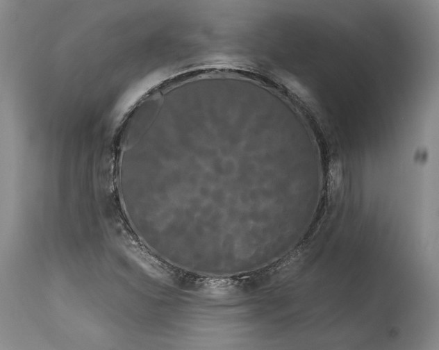 X0000114191310200910231312