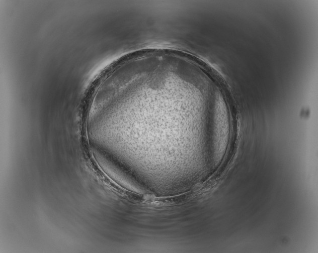 X0000114191311200910231312