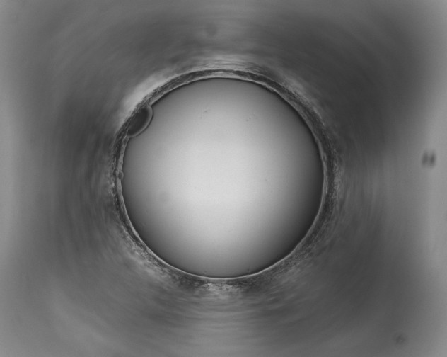 X0000114191312200910231312