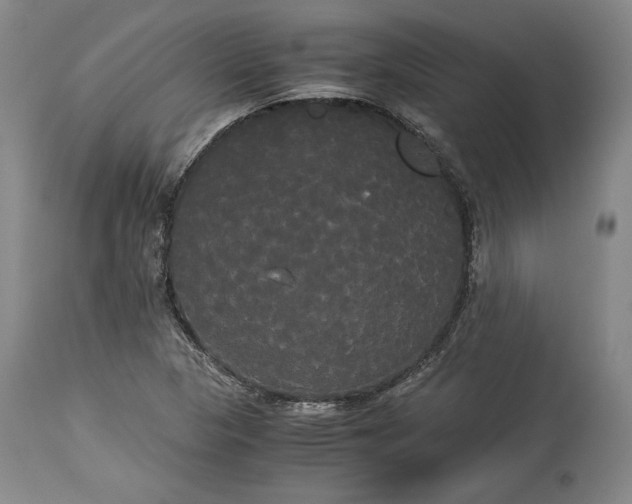 X0000114191313200910231312
