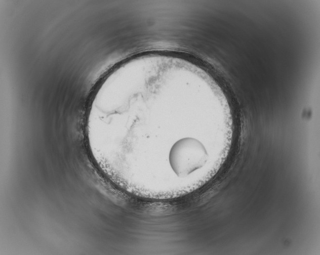 X0000114191314200910231312