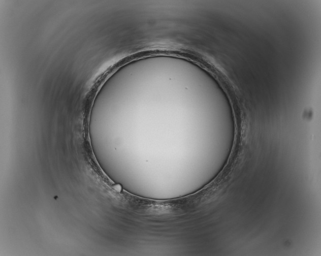 X0000114191315200910231312