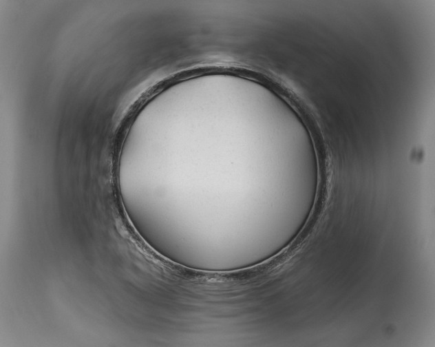 X0000114191318200910231312