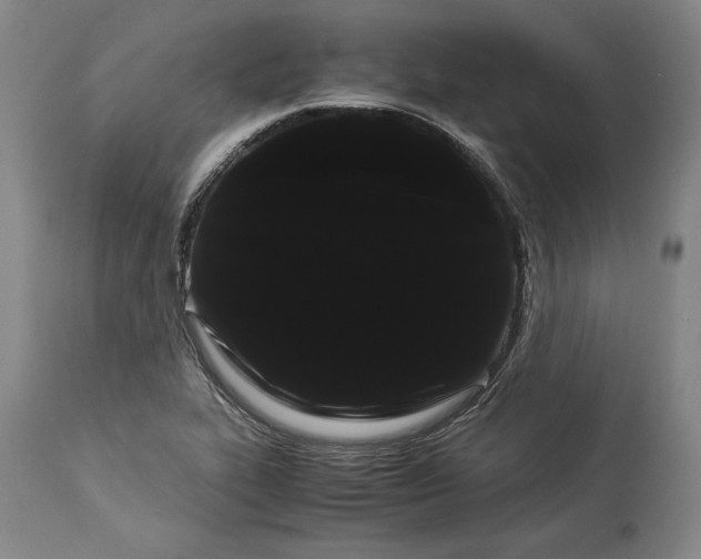 X0000114191319200910231312