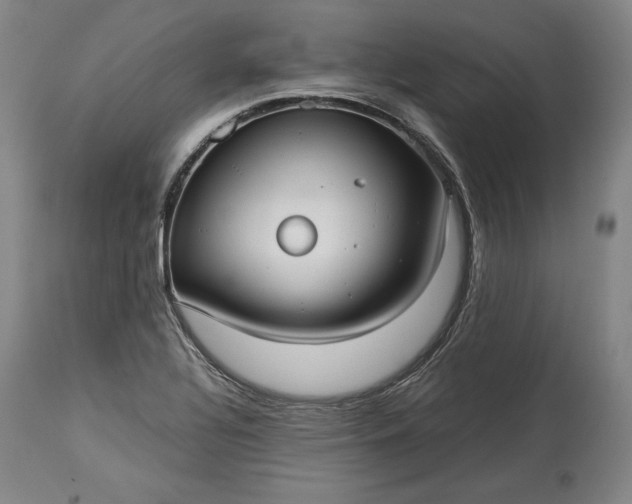 X0000114191320200910231312
