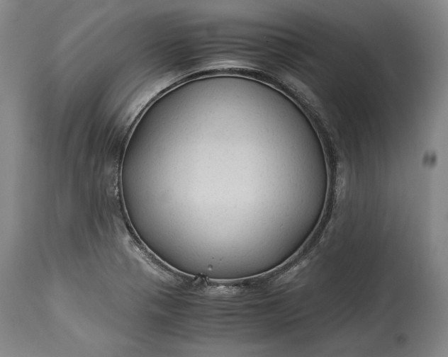 X0000114191321200910231312