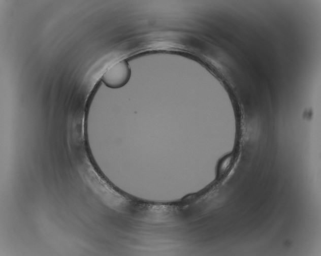 X0000114191322200910231312