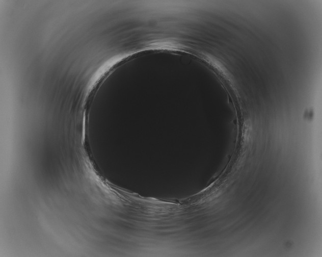 X0000114191323200910231312