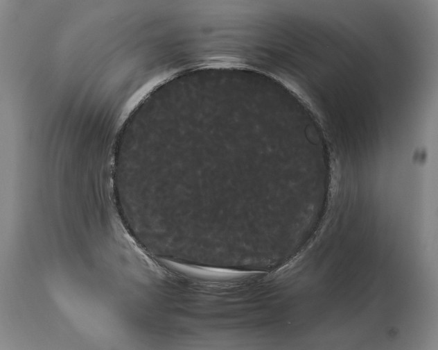 X0000114191325200910231312