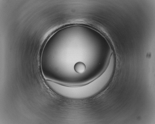 X0000114191328200910231312