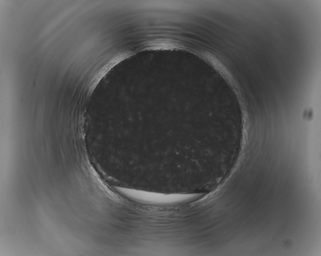 X0000114191329200910231312