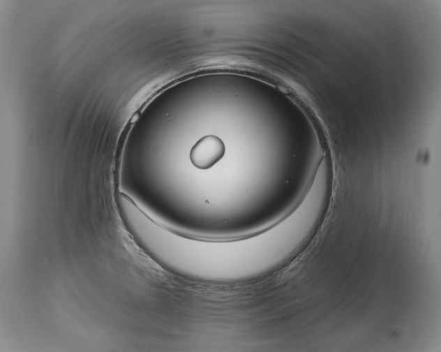 X0000114191330200910231312