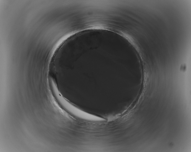 X0000114191331200910231312