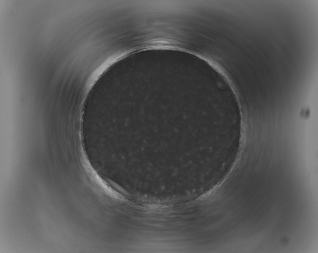 X0000114191333200910231312