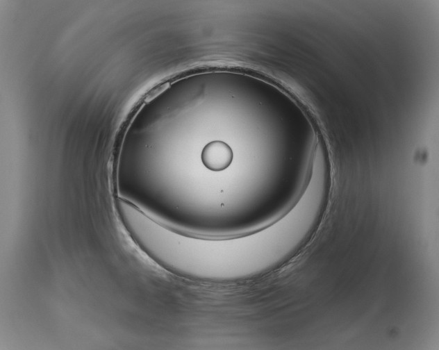 X0000114191334200910231312
