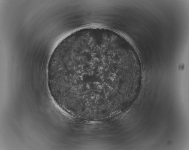 X0000114191335200910231312