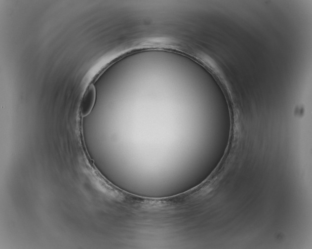X0000114191336200910231312