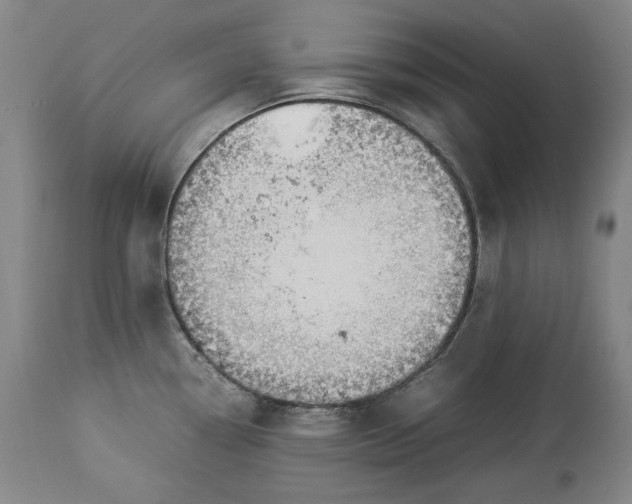 X0000114191338200910231312