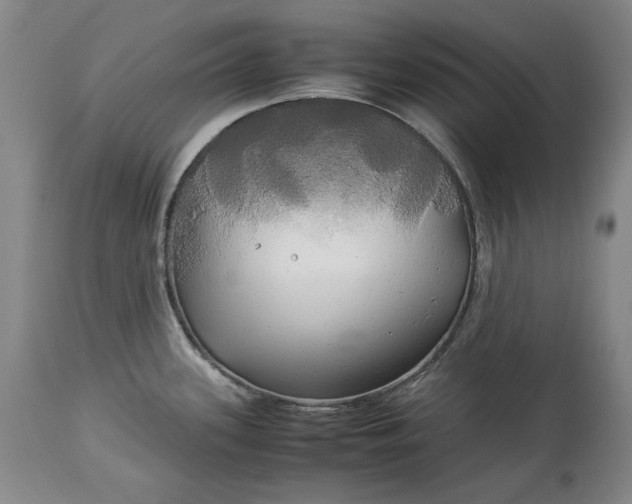 X0000114191339200910231312