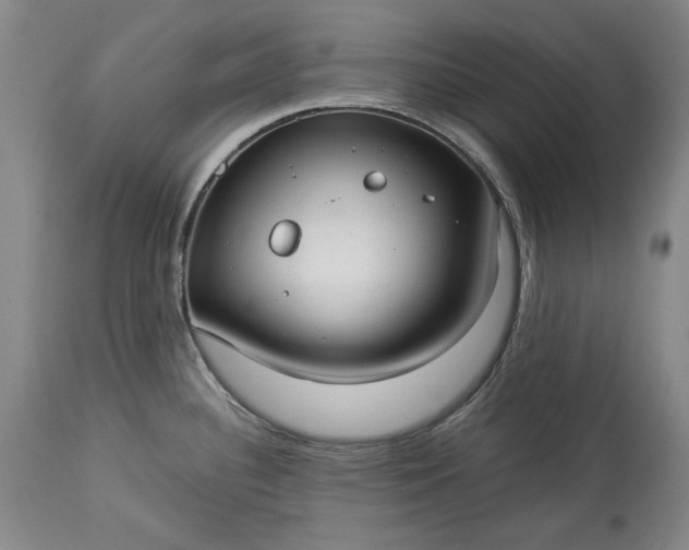 X0000114191340200910231312