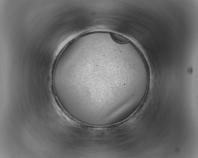 X0000114191341200910231312