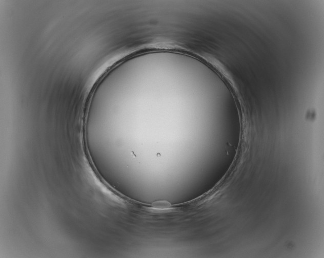 X0000114191343200910231312