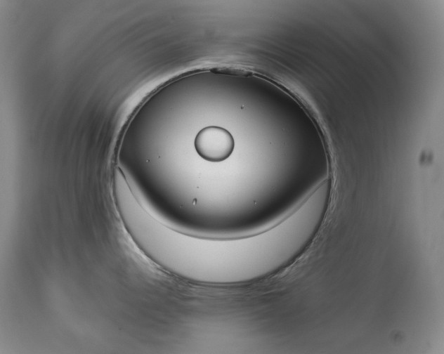 X0000114191344200910231312