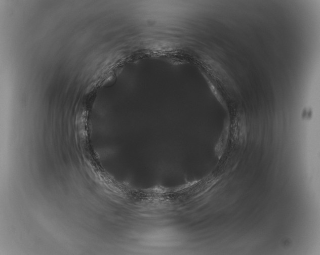 X0000114191346200910231311