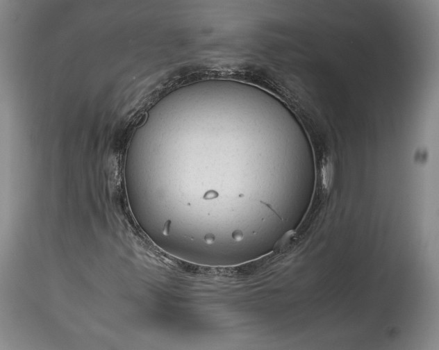 X0000114191347200910231311