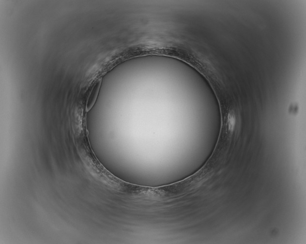 X0000114191348200910231311
