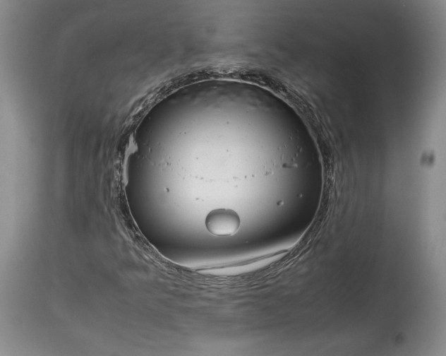 X0000114191349200910231311